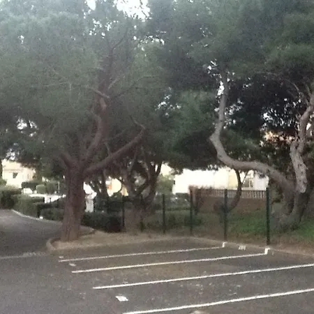 公寓 La Pergola De La 格吕桑